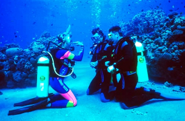 Buceo y cursos